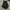 Columbia Indie Casual Bag Pria multicolor black photo 5