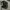 Columbia Indie Casual Bag Pria multicolor black photo 4