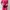 Casual Casual dress Wanita pink photo 5