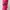 Casual Casual dress Wanita pink photo 4