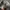 Maison Kitsuné Casual Sweatshirt Pria gray photo 6