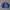 Adidas Casual Sweatshirt Pria Blue