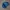Adidas Casual Sweatshirt Pria blue photo 2