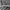 Japanese brand Avant Garde Casual Sweatshirt Wanita black gray photo 4