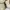 Alexander McQueen Streetwear Sportswear Sneakers Wanita white photo 5