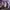 Mahagrid Casual Sweatshirt Pria purple photo 6