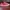 VANS Cosplay Casual Sneakers Wanita red pink photo 2