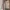Tory Burch Minimalist Casual Tote bag Wanita brown cream photo 5