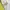 Prada Vintage Luxury Track jacket Pria yellow photo 5