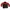 Gorpcore Track jacket Pria red black photo 2