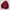 Adidas Sportswear Track jacket Pria red photo 2