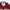 Sportswear Casual Windbreaker Pria red photo 3