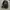 Nike Streetwear Y2K Bag Pria red black photo 2
