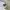 GENTLEWOMAN Minimalist Casual Handbag Wanita cream black photo 6