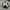 New Balance Streetwear Sportswear Bag Pria white black photo 4