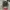 Nike Streetwear Y2K Bag Pria Red Gray