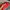 Nike Streetwear Y2K Bag Pria red gray photo 4