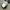 Adidas Streetwear Sportswear Bag Pria white black photo 2