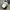Adidas Streetwear Sportswear Bag Pria White Black