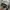 Adidas Streetwear Sportswear Bag Pria white black photo 4