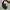 Adidas Streetwear Sportswear Bag Pria white black photo 3