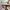 Steve Madden Minimalist Casual Crossbody Bag Wanita tan photo 5