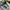 New Balance Streetwear Sportswear Bag Pria white gray photo 4