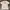 Uniqlo Biker Casual T-shirt Pria white photo 2