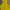 Nike Coquette Casual Hoody Pria Yellow