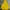 Nike Coquette Casual Hoody Pria yellow photo 1