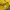 Nike Coquette Casual Hoody Pria yellow photo 4