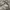 Coquette Casual Hoody Pria gray photo 4