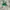 Vintage Y2K Bags & purse Wanita green photo 2
