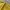 Stussy Vintage Streetwear T-shirt Pria yellow photo 8