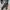 GENTLEWOMAN Minimalist Casual Crossbody Bag Wanita white black photo 7