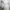 GENTLEWOMAN Minimalist Casual Shoulder bag Wanita black cream photo 2