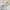 GENTLEWOMAN Minimalist Casual Shoulder bag Wanita black cream photo 3