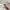 GENTLEWOMAN Minimalist Casual Shoulder bag Wanita black cream photo 4