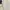 Polo Ralph Lauren Luxury Cardigan Wanita cream photo 6
