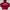 Russell Athletic Y2K Hoody Pria red photo 1