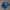 WHO.A.U Casual Sweatshirt Pria Blue