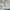 Fruit of the Loom Vintage Sweatshirt Pria white gray photo 6