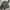 Japanese brand Y2K Sweatshirt Pria gray photo 7