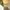 Casual Muslim Wanita yellow photo 3