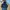 Gorpcore Bomber Jacket Pria Navy