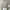 Von Dutch Avant Garde Casual Denim jacket Wanita tan photo 6