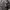 Casual Vest Pria gray photo 4