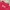 Hello Kitty Lolita Fairy T-shirt Wanita red yellow photo 2