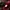 Casual Harrington jacket Pria burgundy black photo 3