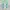 Fairy Coquette Cardigan Wanita white green photo 1
